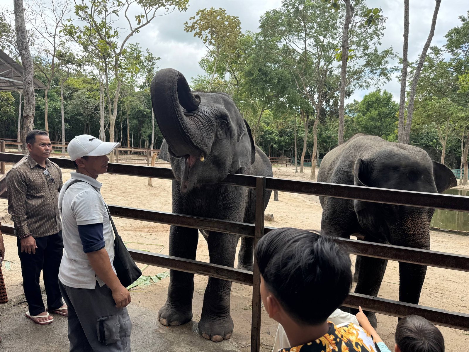 Tamao Zoo (Phnom Tamao Wildlife Rescue Centre)